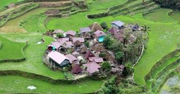 A picture containing grass, outdoor, nature, plant

Description automatically generated