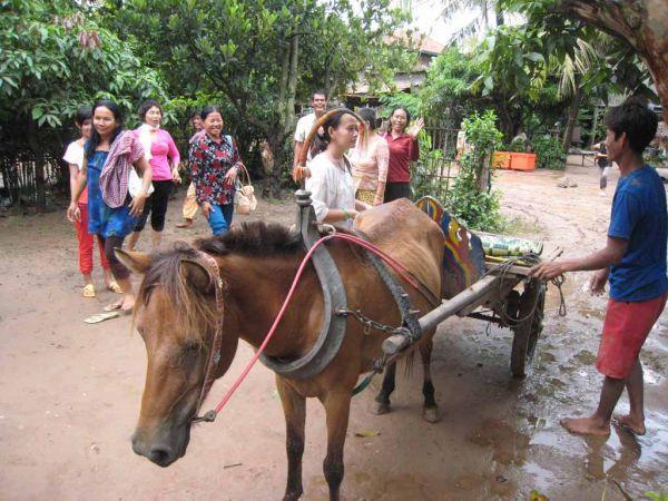 participer-a-un-mariage au Cambodge Arrivee-a-la-maison-des-mariés-a-pied à cheval